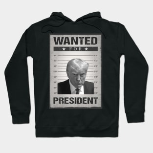 Wanted Donald Trump For President 2024 Trump Mug Shot Hoodie